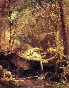 Albert Bierstadt The Mountain Brook USA oil painting artist